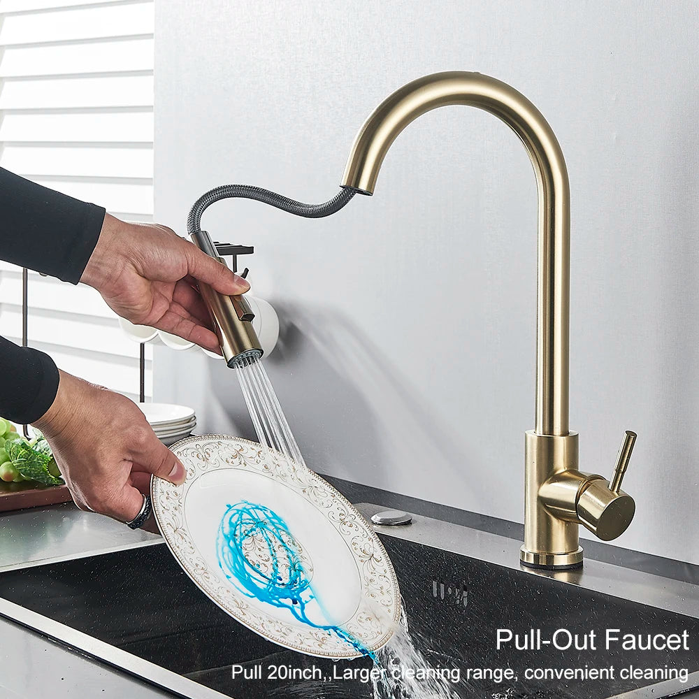 Kitchen Faucet, Two Function Single Handle, Pull Out, Deck Mounted