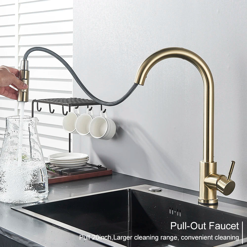Kitchen Faucet, Two Function Single Handle, Pull Out, Deck Mounted